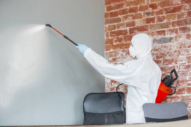 Best Biohazard Mold Removal  in South Charleston, WV