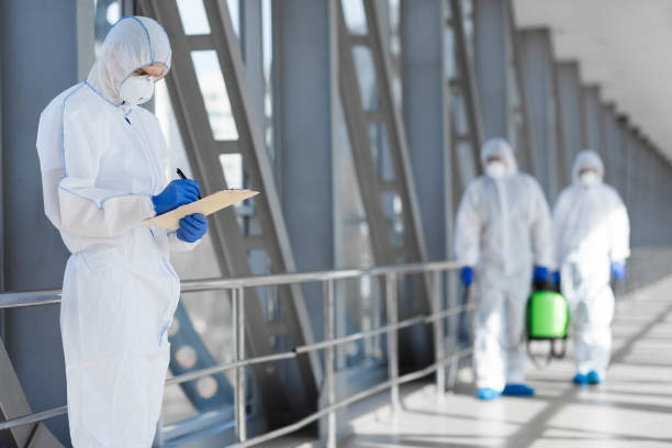 Best Industrial Mold Remediation  in South Charleston, WV