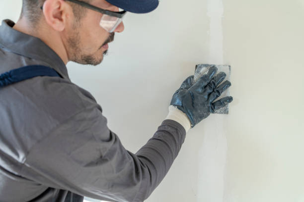 Best Basement Mold Removal  in South Charleston, WV