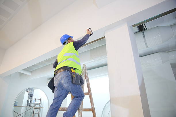 Best Attic Mold Removal  in South Charleston, WV