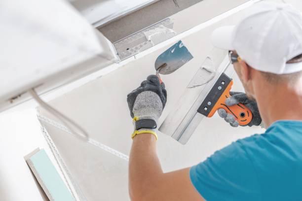 Best Emergency Mold Remediation  in South Charleston, WV